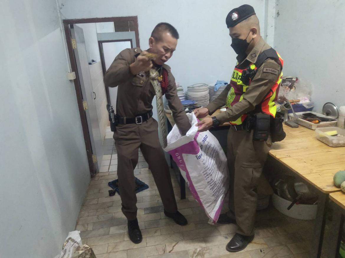 สายตรวจรถยนต์ สภ.โกสัมพีนคร ได้ให้ความช่วยเหลือประชาชน เหตุงูเหลือมเข้าห้องน้ำภายในบ้าน